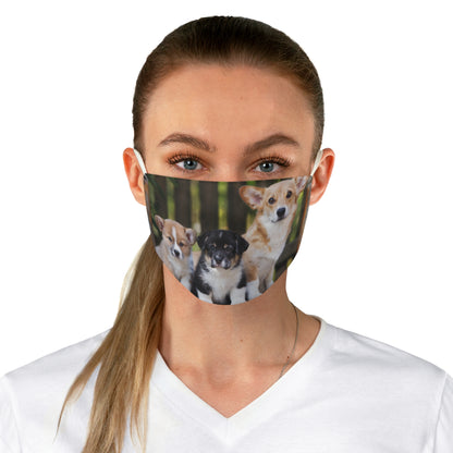 Fabric Face Mask