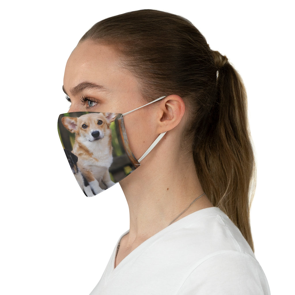 Corgies - Fabric Face Mask