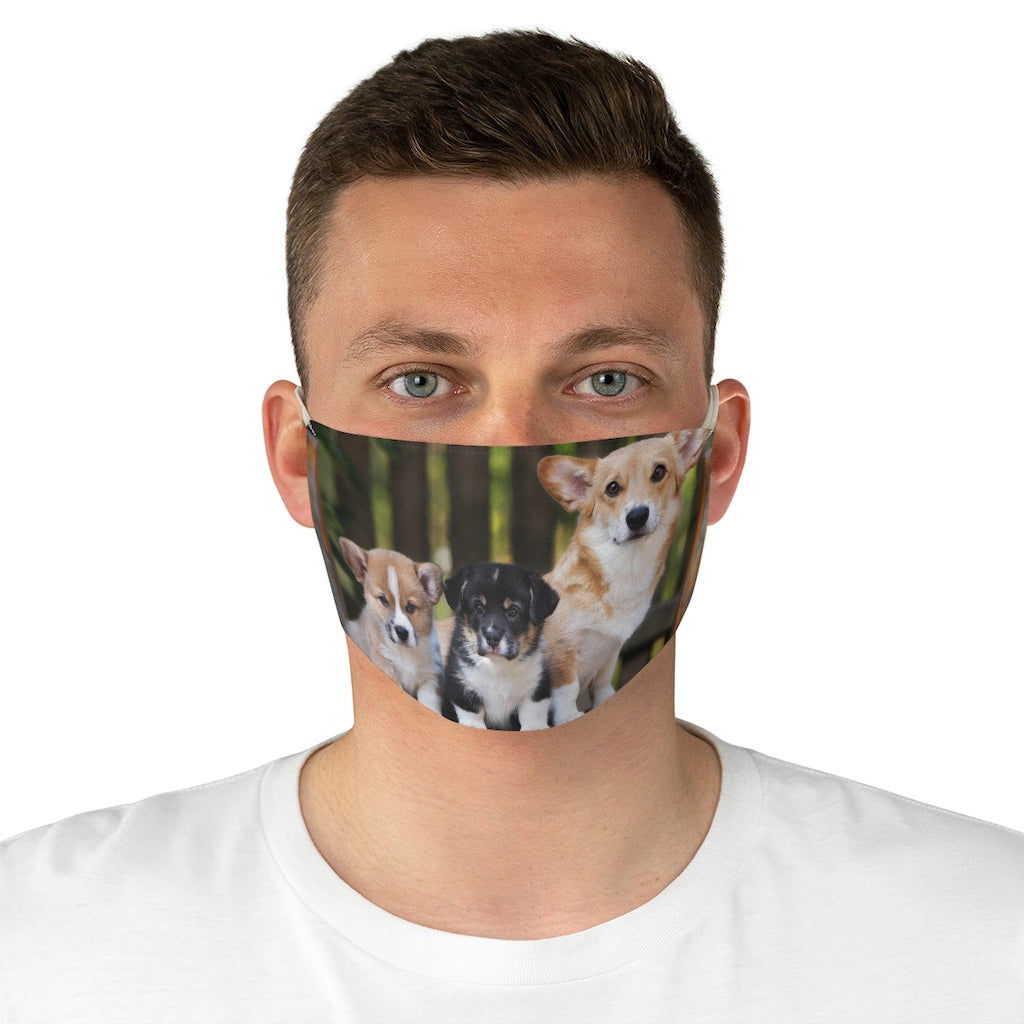 Corgies - Fabric Face Mask